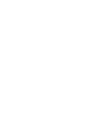 Ice Team Corporation logo
